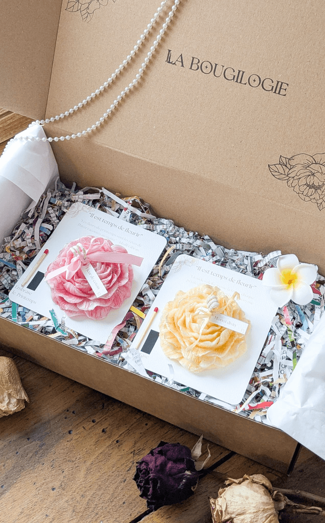 Coffret Complet Roses des Quatre Saisons 🌞❄️🌸🍂